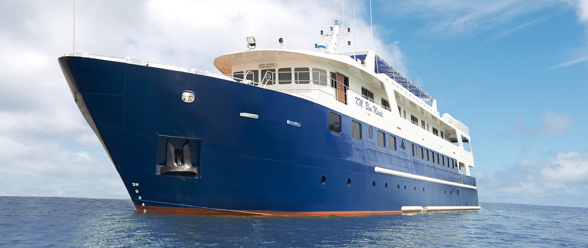 KM Blue Manta
